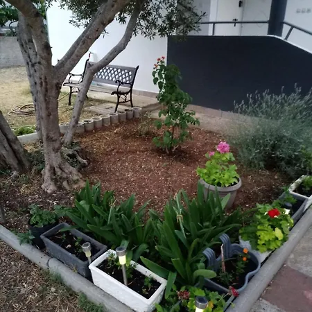 With Parking Space Kraj, Pasman - 8213 Διαμέρισμα *